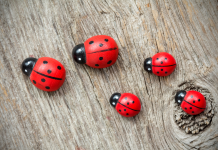 Impact de l’environnement familial