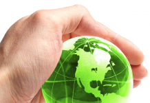 L’importance de la planification écologique