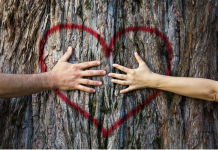 Comment surmonter la fatigue émotionnelle en couple