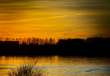 Les Défis de la Divergence des Attitudes envers les Sorties et Activités Nocturnes PODCAST