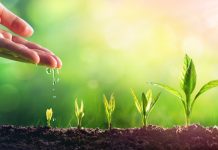 La transition vers l’âge adulte PODCAST