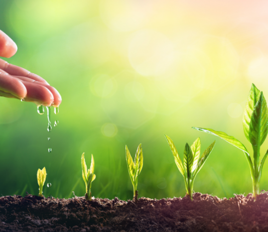 La transition vers l’âge adulte PODCAST