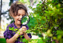 Encourager la curiosité et favoriser l’autonomie chez les enfants.PODCAST