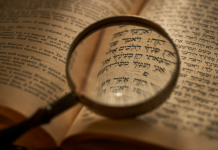 Encourager la Curiosité et l’Étude de la Torah chez les Jeunes