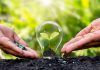 Éducation à l’Environnement et Durabilité : Construire un futur écologique pour nos enfants. PODCAST