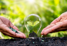 Éducation à l’Environnement et Durabilité : Construire un futur écologique pour nos enfants. PODCAST