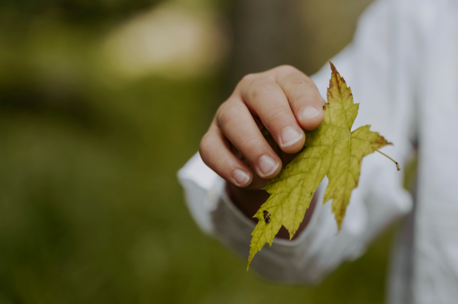 L’appel à l’instruction environnementale PODCAST