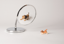 La construction de la confiance en soi à travers la Torah image mise en avant article education