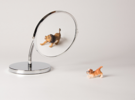 La construction de la confiance en soi à travers la Torah image mise en avant article education