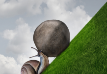 La persévérance face aux défis spirituels selon les enseignements juifs illustration perseverance dans article education