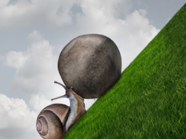 La persévérance face aux défis spirituels selon les enseignements juifs illustration perseverance dans article education