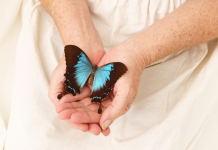 Comprendre le rôle de la confiance dans une relation PODCAST