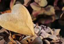 Forger des Liens Durables : La Puissance de la Gratitude et de l’Appréciation dans la Tradition Juive PODCAST