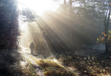 Faire face au divorce : Surmonter le deuil, la culpabilité et la solitude pour retrouver une vie épanouie PODCAST