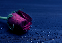 La Puissance du Pardon dans la Guérison des Relations PODCAST