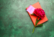 L’amour Célébré à Travers le Pardon et la Compréhension PODCAST