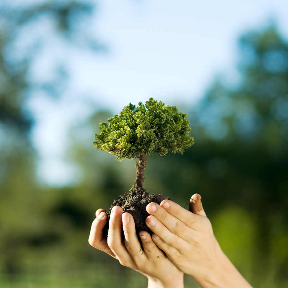 Promouvoir la sensibilisation environnementale chez les enfants.PODCAST