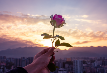 Renforcer la Connexion à travers des Gestes de Service et de Dévouement PODCAST