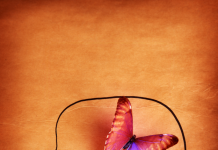 L’importance d’une intervention anticipée dans le domaine de l’éducation : Nutrir les esprits jeunes pour un futur lumineux PODCAST