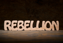 Rébellion et Défiance : Gérer les conflits de pouvoir et les examens des limites. PODCAST