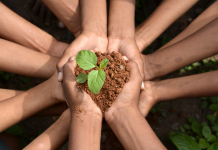 La préservation de l’environnement sous le regard des principes juifs PODCAST