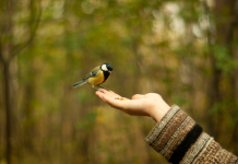 Stimuler la confiance grâce à la clarté : Un Parcours vers des relations davantage authentiques PODCAST