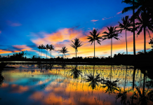 La beauté sous l’angle de la pensée juive PODCAST