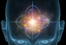 Nourrir l’esprit et le corps