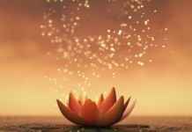 Développer une Spiritualité Commune ou un Sens de la Transcendance