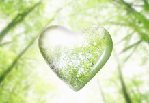 Les Échos de l’Amour : Découvrir, Comprendre et Adapter les Langages de l’Amour