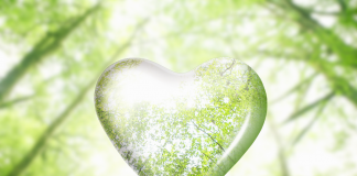 Les Échos de l’Amour : Découvrir, Comprendre et Adapter les Langages de l’Amour