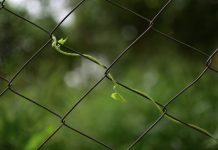 Résilience et Adaptation: S’épanouir au-delà des Défis