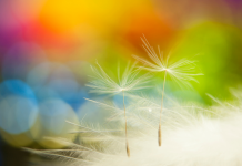 La Flexibilité: Le Secret d’une Relation Durable