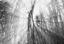 Renaître après l’addiction : Un voyage de redécouverte de soi