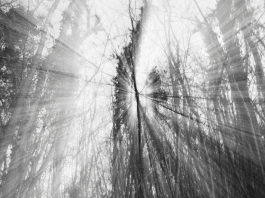 Renaître après l’addiction : Un voyage de redécouverte de soi