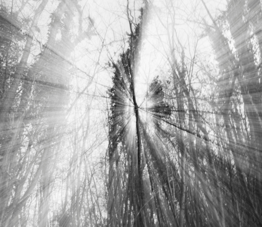 Renaître après l’addiction : Un voyage de redécouverte de soi