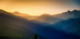 L’environnement : un facteur clé dans le chemin vers la guérison