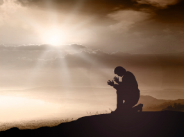 La Sagesse de l’Humilité : Cultiver des Relations Harmonieuses