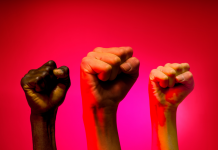 L’Importance de la Solidarité