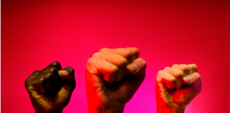 L’Importance de la Solidarité