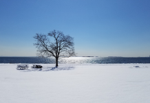 La Sérénité dans le Silence: Se Connecter Profondément à Travers la Tradition Juive PODCAST