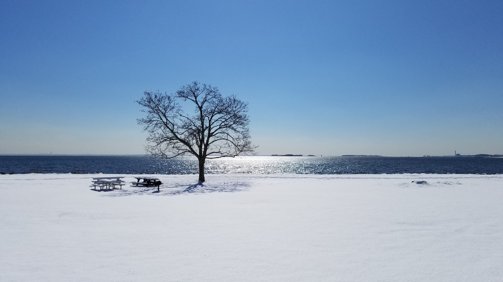 La Sérénité dans le Silence: Se Connecter Profondément à Travers la Tradition Juive PODCAST