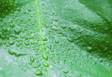 Apprentissage dans les Aptitudes de Vie PODCAST