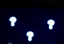 Favoriser l’intérêt intellectuel PODCAST