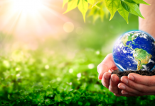 Enseignement de l’environnement : Préserver la planète PODCAST