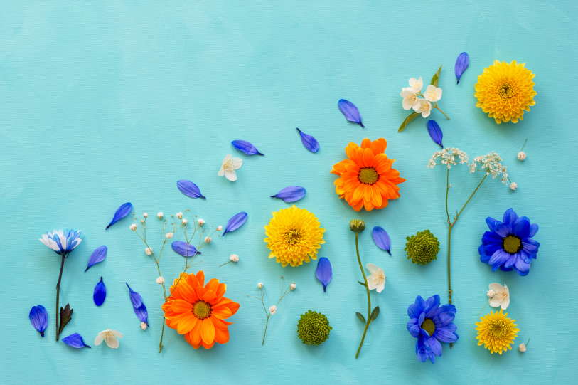 La gestion des attentes en fonction des divers styles de vie PODCAST