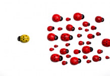 Résoudre les conflits associés aux divergences PODCAST
