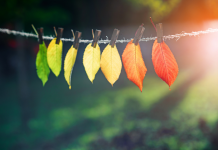 Transition de fonctions : Un parcours spirituel et relationnel. PODCAST