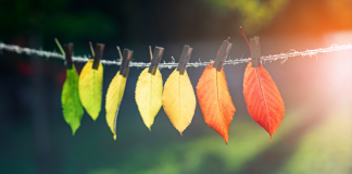 Transition de fonctions : Un parcours spirituel et relationnel. PODCAST
