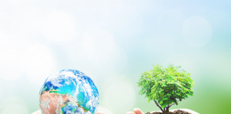 Le respect de l’environnement selon la tradition juive